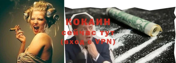 дживик Лагань