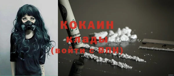 дживик Лагань