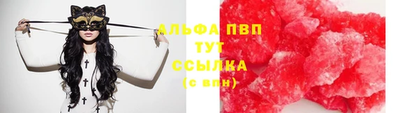 винт Лабытнанги