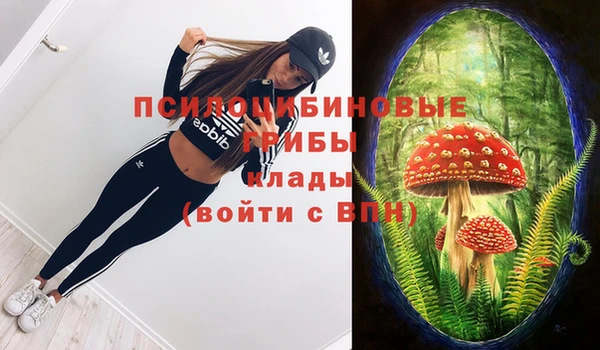 дживик Лагань