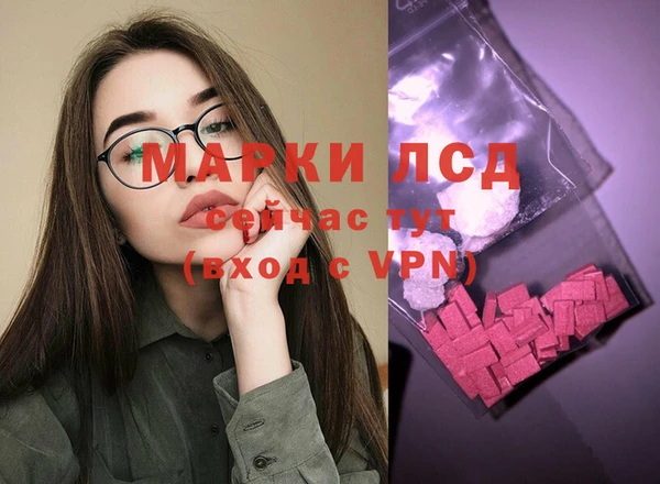 винт Лабытнанги