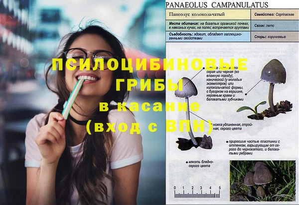 дживик Лагань